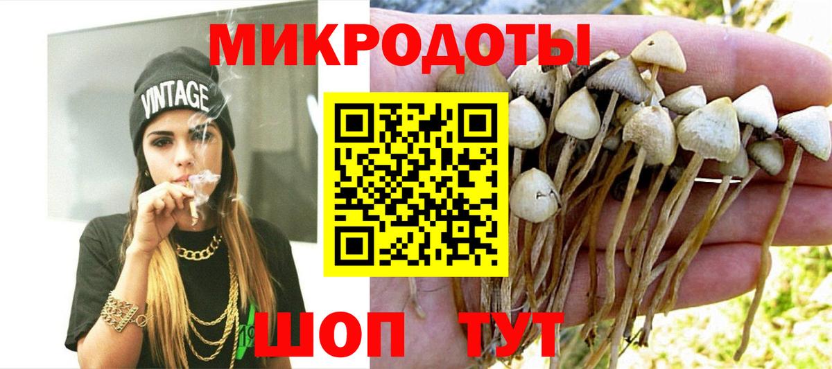 Уварово  Псилоцибиновые грибы MAGIC MUSHROOMS  Вход с VPN  Псилоцибиновые грибы Psilocybine cubensis 